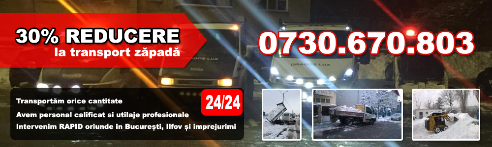 Dezapezire